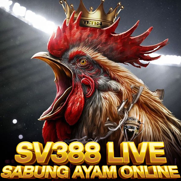 SV388 Sabung Ayam Online – Sekali Bet Langsung Jackpot